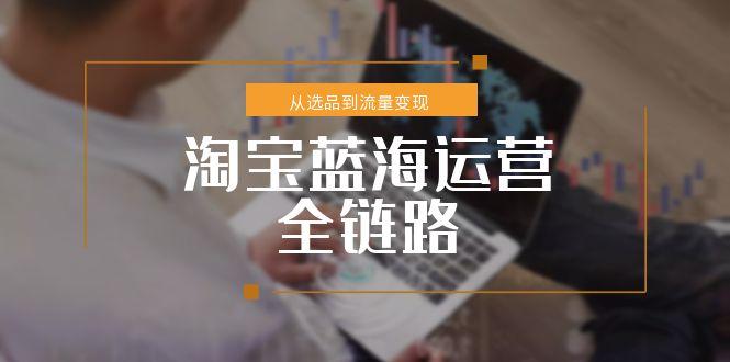 淘宝蓝海运营全链路，从选品到流量变现，小类目突围完整方案-腾渊网创
