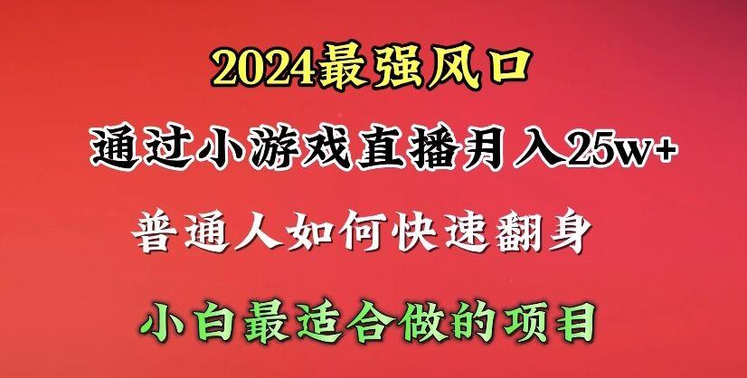 (10020期)2024年最强风口，通过小游戏直播月入25w+单日收益5000+小白最适合做的项目-腾渊网创