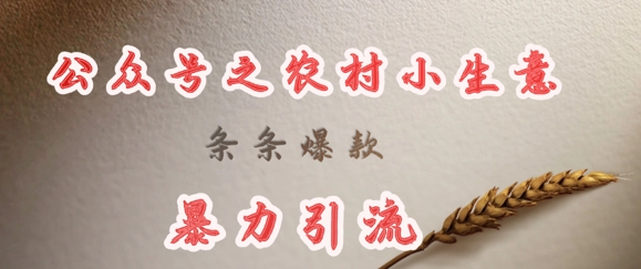 deepseek写农村小项目，条条爆款，暴力引流-腾渊网创
