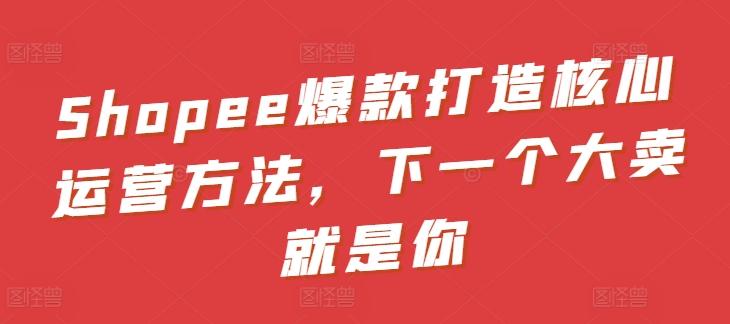 Shopee爆款打造核心运营方法，下一个大卖就是你-腾渊网创
