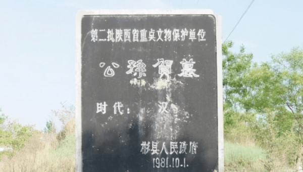 Linux 中如何安装和使用 Perl 开发环境-腾渊论坛