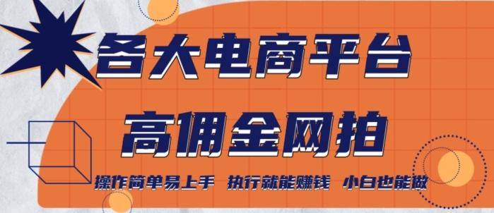 各大电商平台高佣金网拍，操作简单易上手，执行就能赚钱，小白也能做-腾渊网创