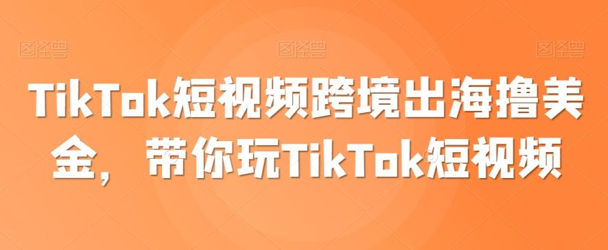 TikTok短视频跨境出海撸美金，带你玩TikTok短视频-腾渊网创