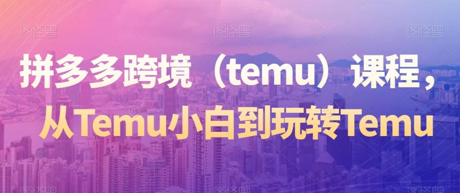拼多多跨境（temu）课程，从Temu小白到玩转Temu-腾渊网创