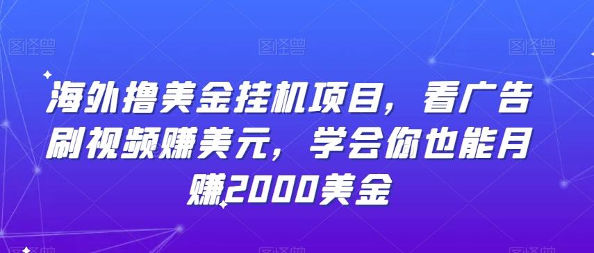 海外撸美金挂机项目，看广告刷视频赚美元，学会你也能月赚2000美金-腾渊网创