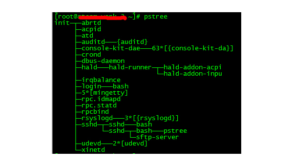 Linux 中通过 PID 查找进程的命令详解-腾渊网创