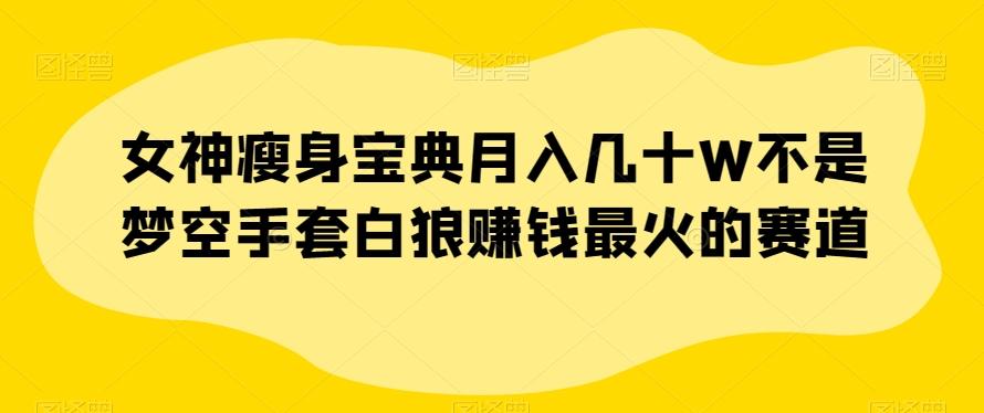 女神瘦身宝典月入几十W不是梦空手套白狼赚钱最火的赛道【揭秘】-腾渊论坛