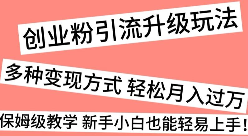 创业粉引流升级玩法，多种变现方式轻松月入过万，保姆级教学新手小白也能轻易上手！-腾渊网创