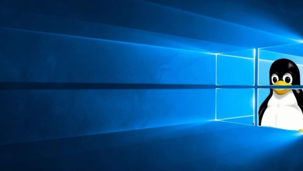 linux和windows软件一样吗-腾渊论坛