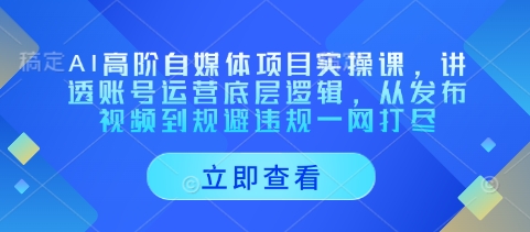 AI高阶自媒体项目实操课，讲透账号运营底层逻辑，从发布视频到规避违规一网打尽-腾渊论坛