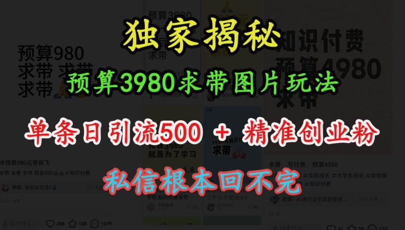 预算3980求带 图片玩法，单条日引流500+精准创业粉，私信根本回不完-腾渊论坛