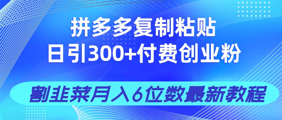 拼多多复制粘贴日引300+付费创业粉，割韭菜月入6位数最新教程！-腾渊论坛