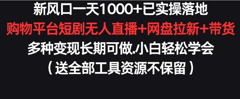 新风口一天1000+已实操落地购物平台短剧无人直播+网盘拉新+带货多种变现长期可做【揭秘】-腾渊网创