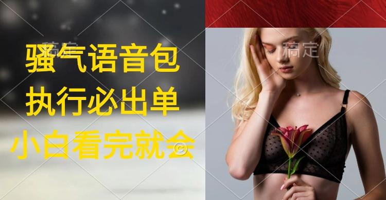 (9589期)执行就出单，日入2000+，超火骚气语音包，小白看完课程就能马上实操-腾渊网创