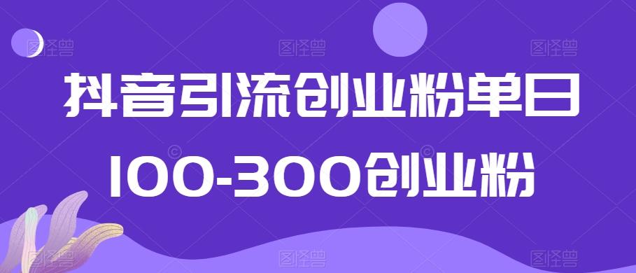 抖音引流创业粉单日100-300创业粉【揭秘】-腾渊网创