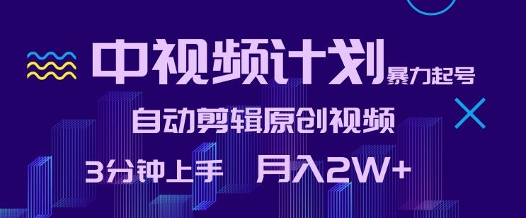 中视频计划暴力起号，自动剪辑原创视频，3分钟上手，月入2W+【揭秘】-腾渊网创