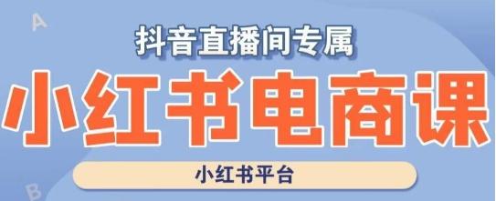小红书电商高级运营课程，实操教学+案例分析-腾渊网创