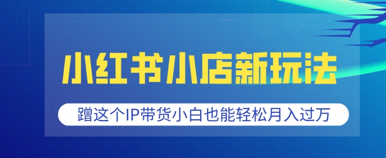 小红书小店新玩法，蹭这个IP带货，小白也能轻松月入过W【揭秘】-腾渊网创