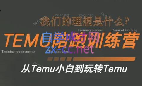 苗苗·拼多多跨境（temu）课程-腾渊网创