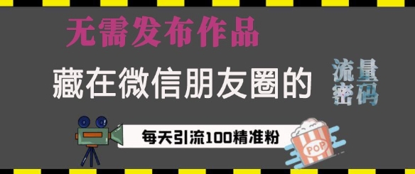 藏在微信朋友圈的流量密码，无需发布作品，单日引流100+精准创业粉【揭秘】-腾渊网创
