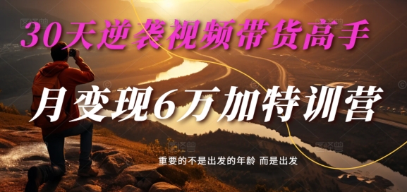 30天逆袭视频带货高手，单月变现6万加特训营-麦子甜-腾渊网创