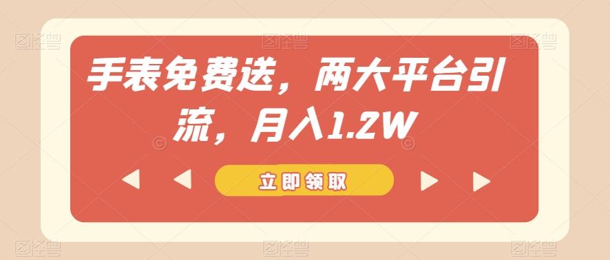 手表免费送，两大平台引流，月入1.2W【揭秘】-腾渊网创