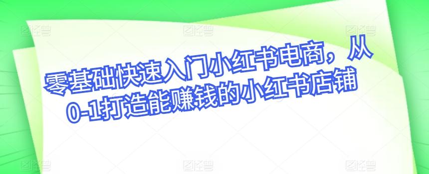 零基础快速入门小红书电商，从0-1打造能赚钱的小红书店铺-腾渊网创
