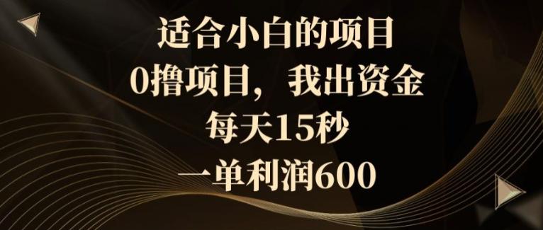 适合小白的项目，0撸项目，我出资金，每天15秒，一单利润600-腾渊网创