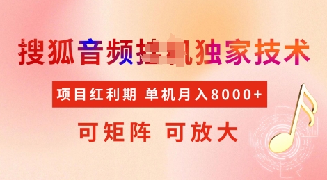 全网首发搜狐音频挂JI独家技术，项目红利期，可矩阵可放大，稳定月入8k【揭秘】-腾渊网创