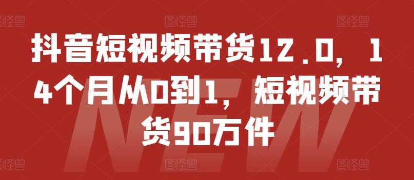 抖音短视频带货12.0，14个月从0到1，短视频带货90万件-腾渊网创