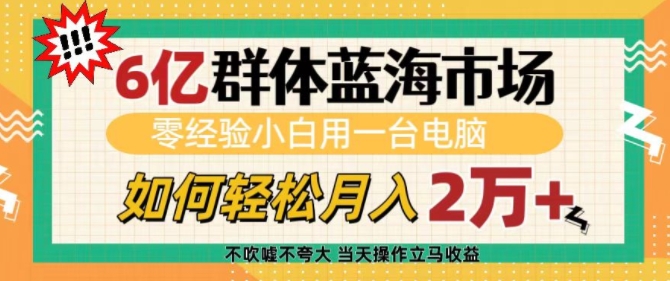 6亿群体蓝海市场，零经验小白用一台电脑，如何轻松月入过w【揭秘】-腾渊论坛