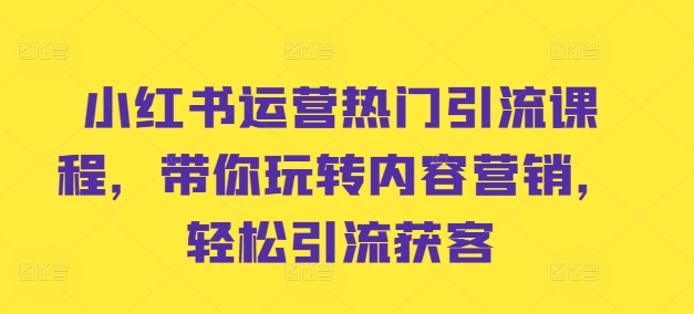 小红书运营热门引流课程，带你玩转内容营销，轻松引流获客-腾渊网创