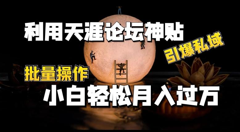 利用天涯论坛神贴，引爆私域，批量操作，小白轻松月入过w【揭秘】-腾渊网创
