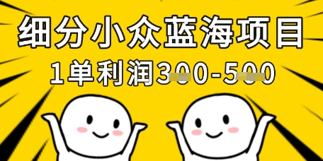 细分小众蓝海项目，一单利润3张，每月收入稳定过1w+-腾渊论坛