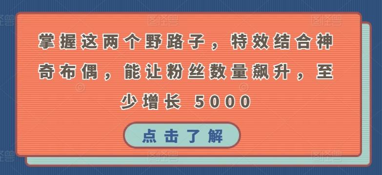 掌握这两个野路子，特效结合神奇布偶，能让粉丝数量飙升，至少增长 5000【揭秘】-腾渊网创