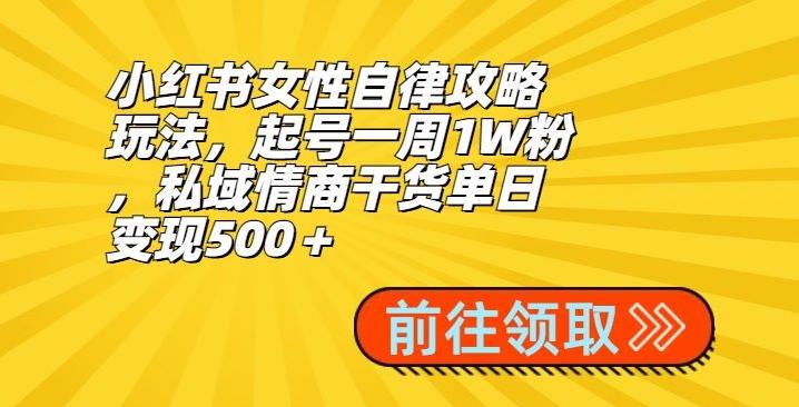 小红书女性自律攻略玩法，起号一周1W粉，私域情商干货单日变现500＋-腾渊网创