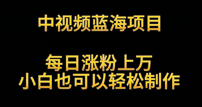 中视频蓝海项目，解读英雄人物生平，每日涨粉上万，小白也可以轻松制作，月入过万不是梦【揭秘】-腾渊网创