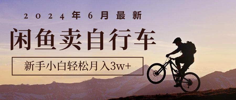 2024年6月最新闲鱼卖自行车，新手小白轻松月入3w+项目-腾渊论坛