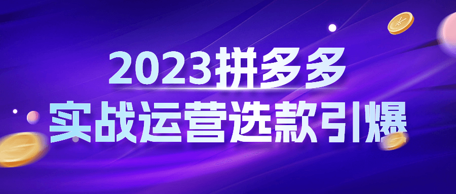 2023拼多多实战运营选款引爆-腾渊论坛