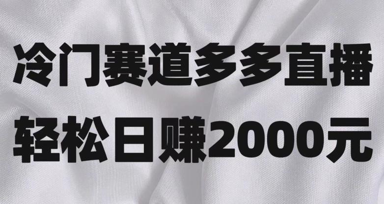 冷门赛道拼多多直播，简单念稿子，日收益2000＋【揭秘】-腾渊网创