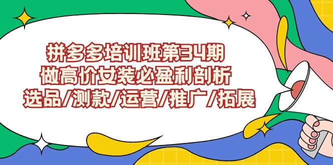 (9333期)拼多多培训班第34期：做高价女装必盈利剖析  选品/测款/运营/推广/拓展-腾渊论坛