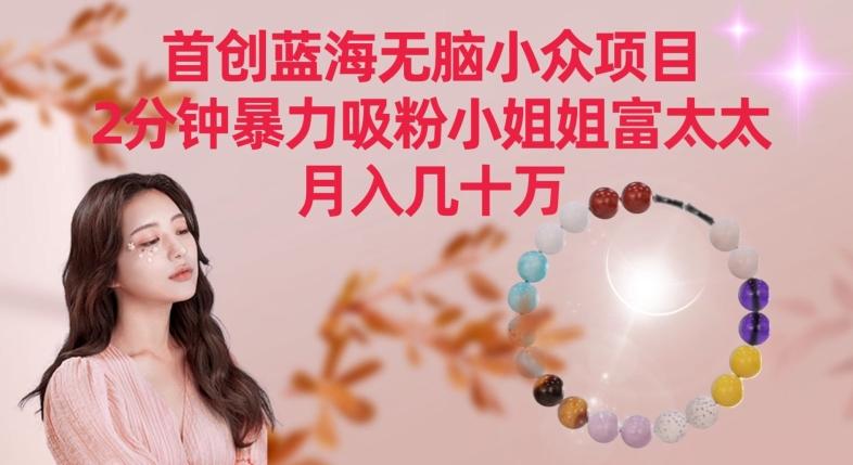 首创蓝海无脑小众项目，2分钟暴力吸粉小姐姐富太太，月入几十万【揭秘】-腾渊网创