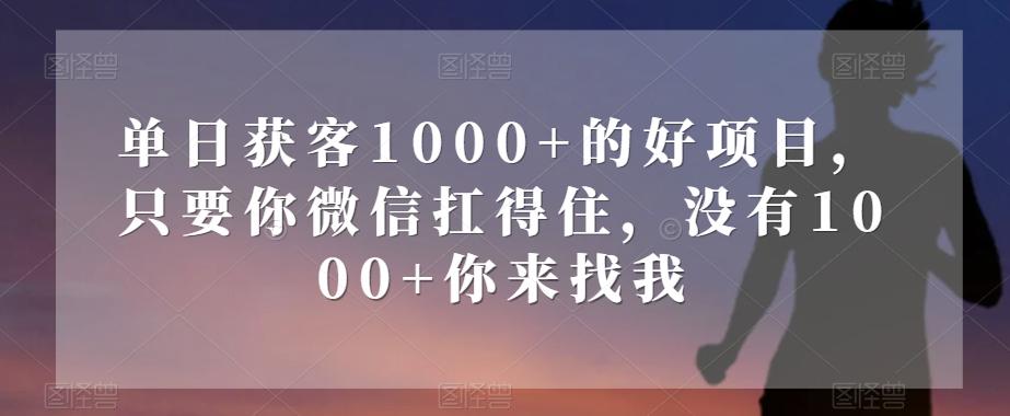 单日获客1000+的好项目，只要你微信扛得住，没有1000+你来找我【揭秘】-腾渊论坛