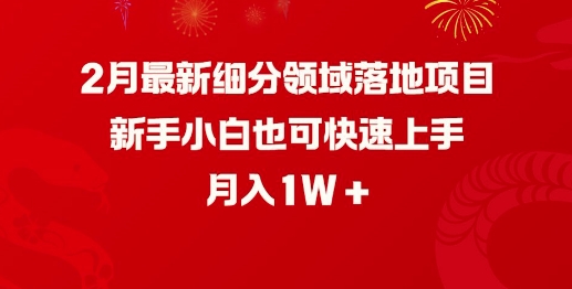2月最新细分领域落地项目，新手小白也可快速上手，月入1W-腾渊论坛