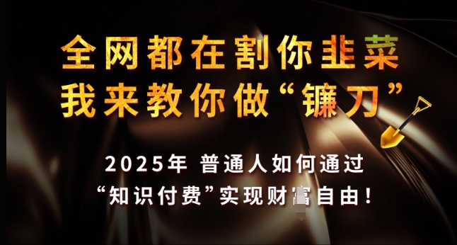 全网都在割你韭菜，我来教你做镰刀，2025年普通人如何通过 知识付费 实现财F自由【揭秘】-腾渊论坛