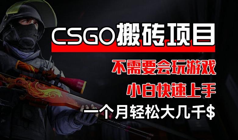 CSGO 装备搬砖项目，操作简单，不需要会玩游戏，小白也能快速上手，一个月轻松大几千【揭秘】-腾渊网创