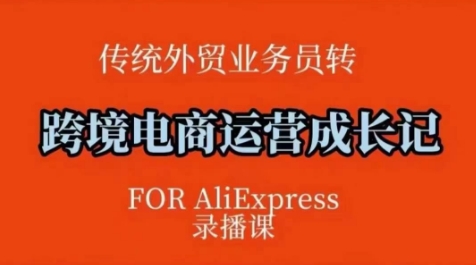 跨境电商速卖通运营课，​运营方法论+后台实操，逻辑清晰-腾渊网创