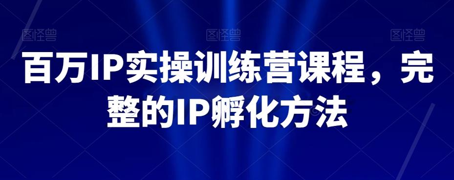 百万IP实操训练营课程，完整的IP孵化方法-腾渊论坛