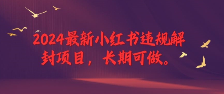 2024最新小红书违规解封项目，长期可做，一个可以做到退休的项目【揭秘】-腾渊网创