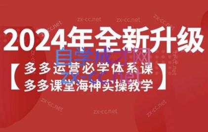 海神老师·拼多多运营必学体系课-腾渊网创